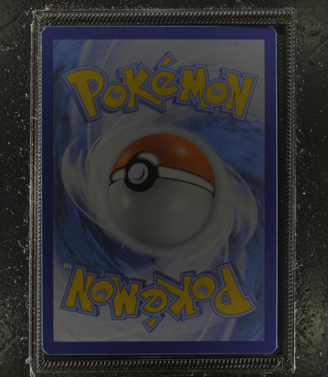 Back Card