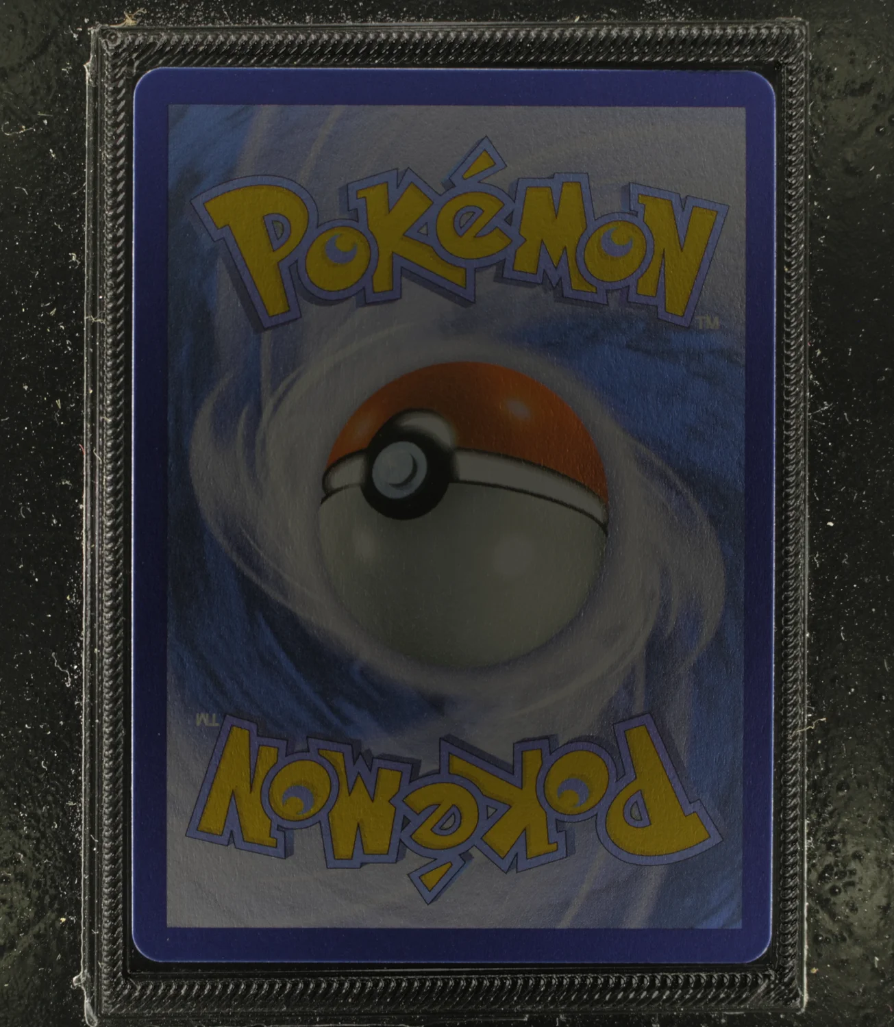 Back Card