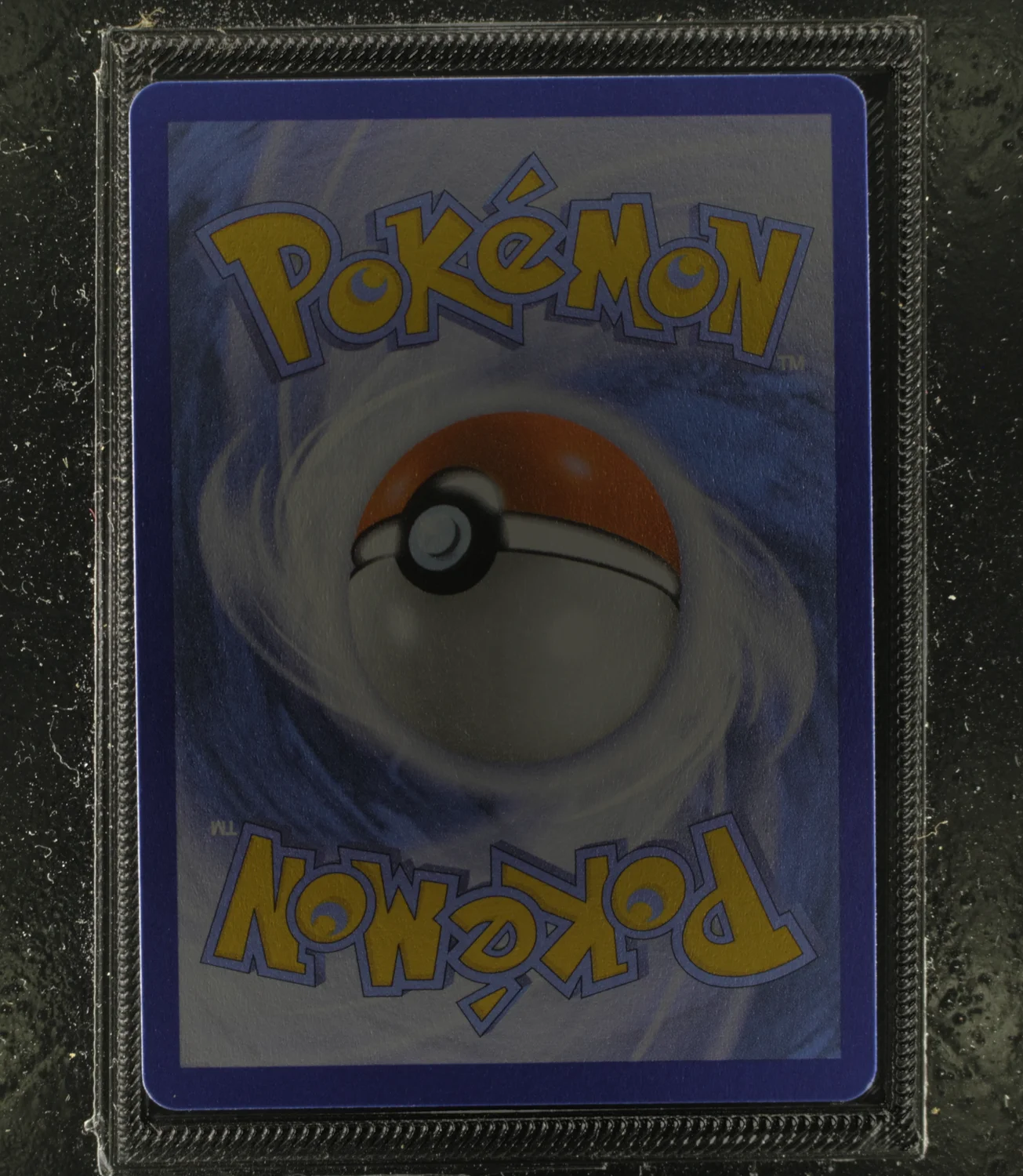 Back Card