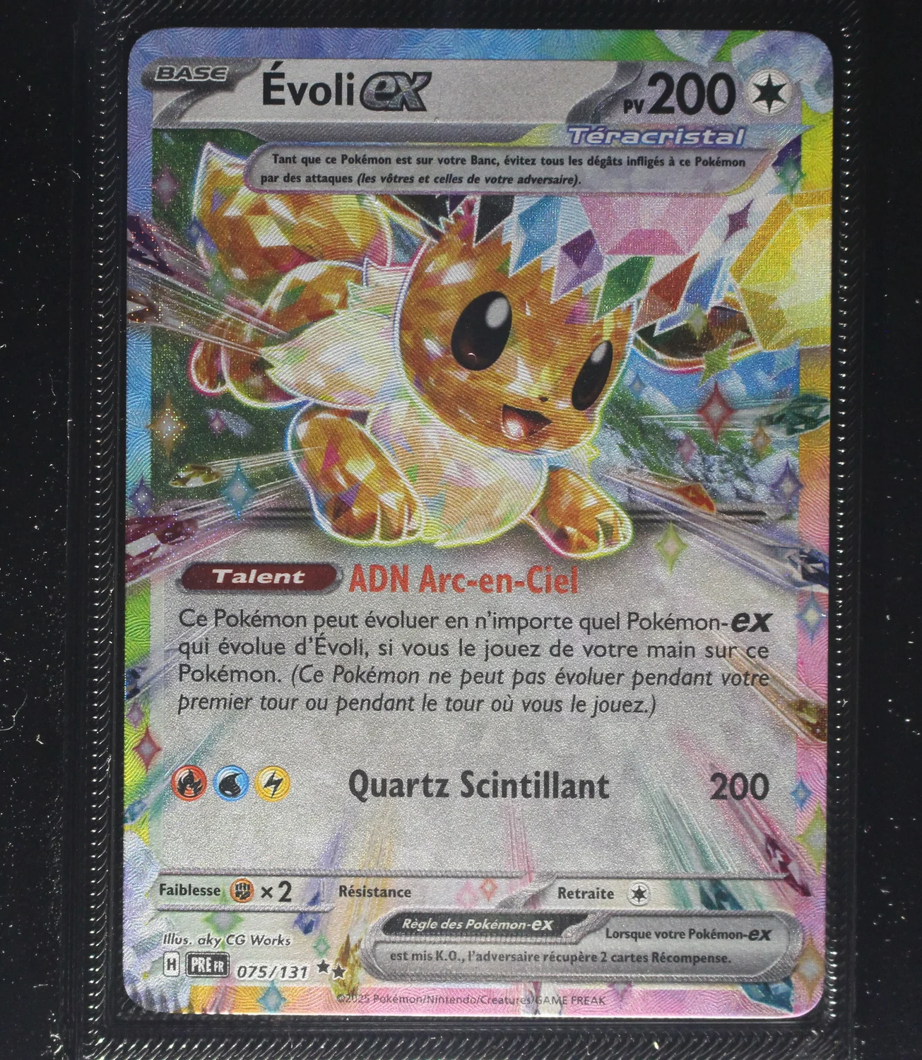 Front Card