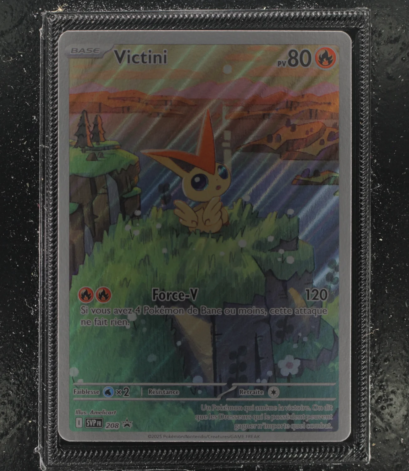 Front Card