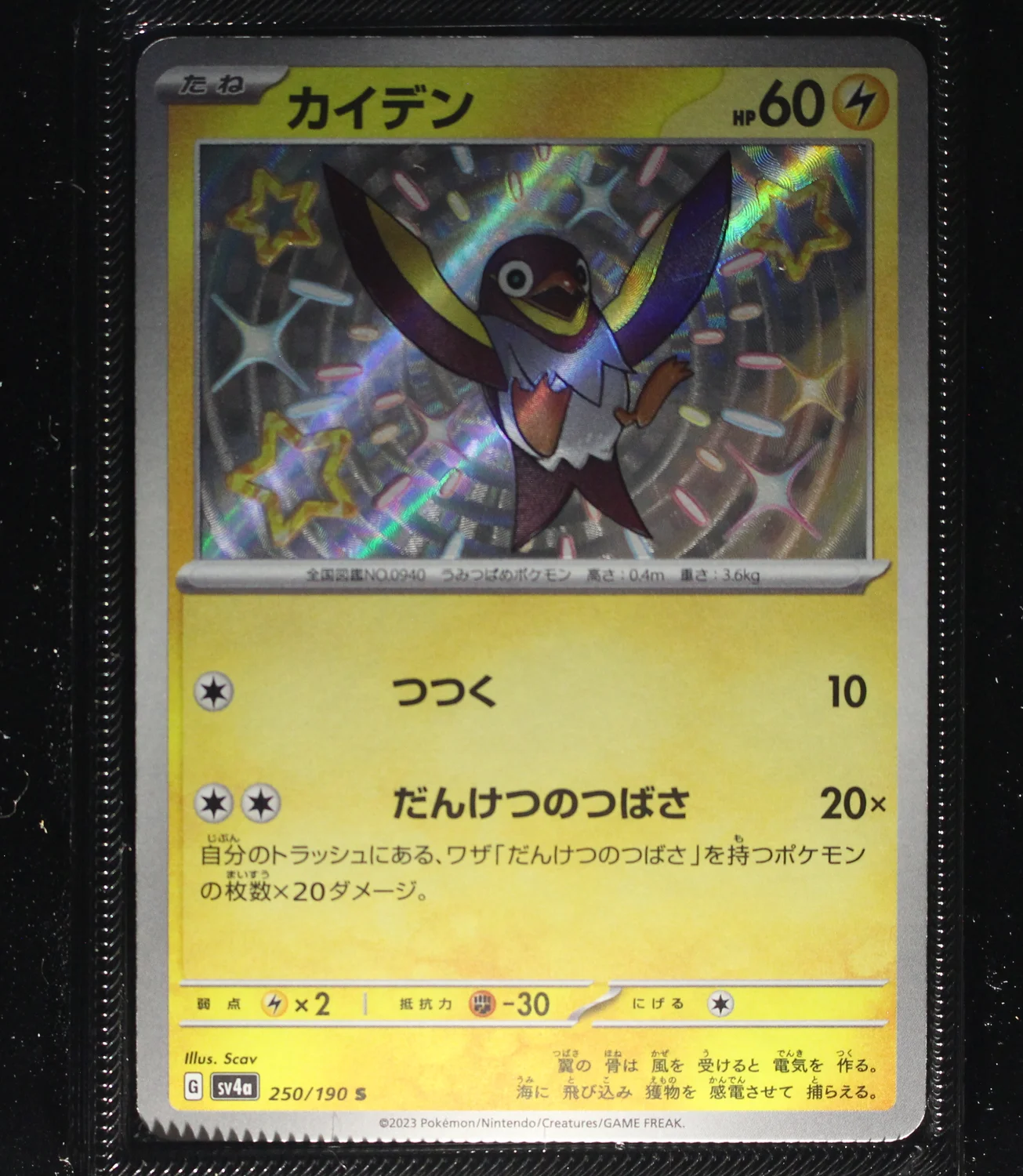 Front Card