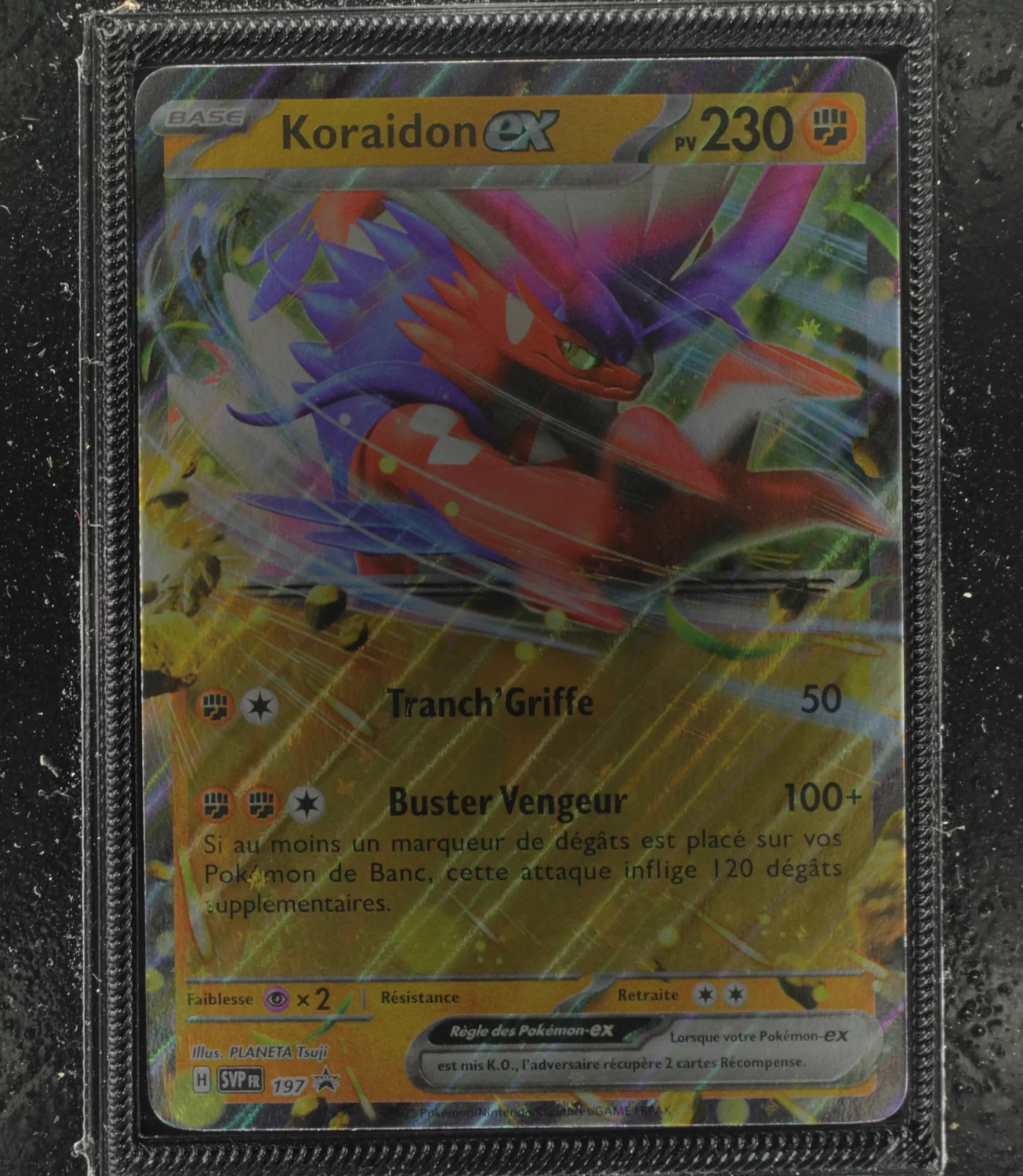 Front Card