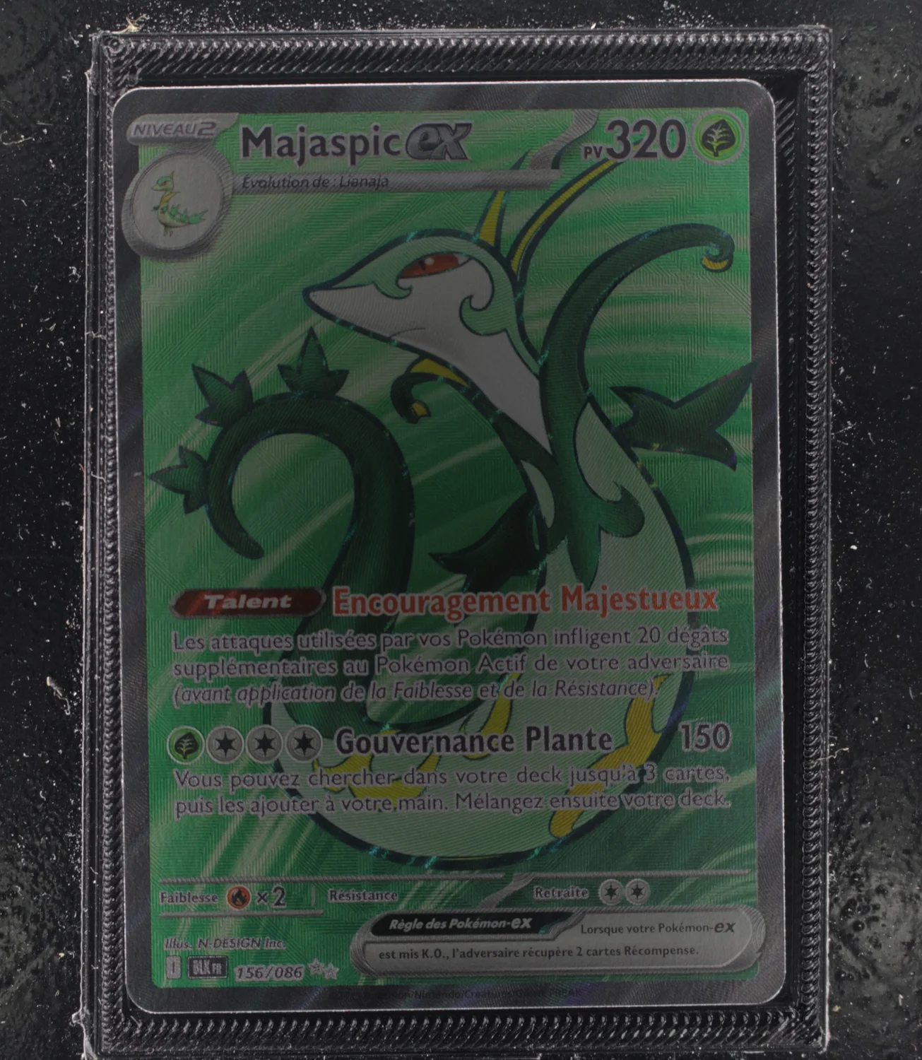 Front Card