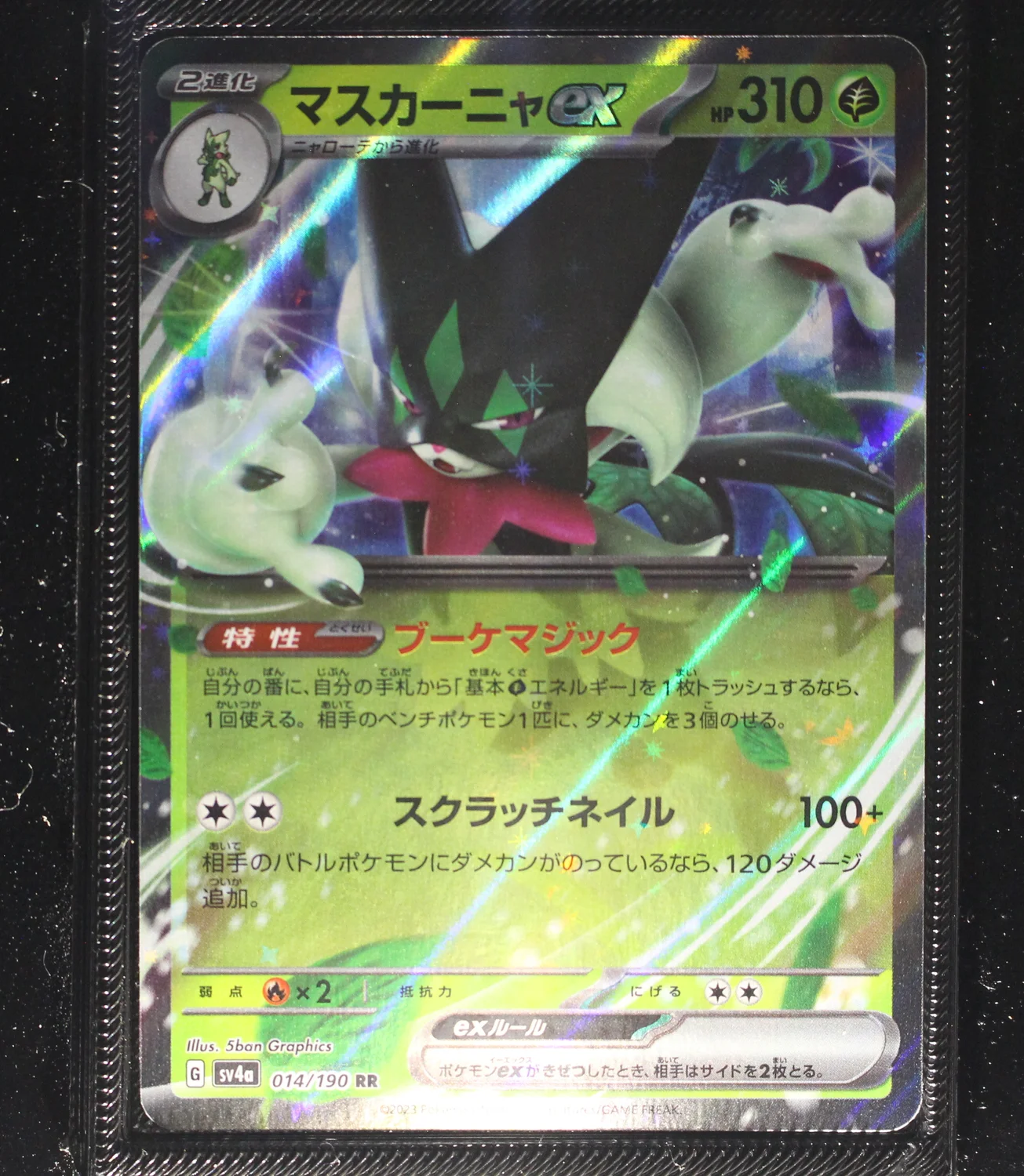 Front Card