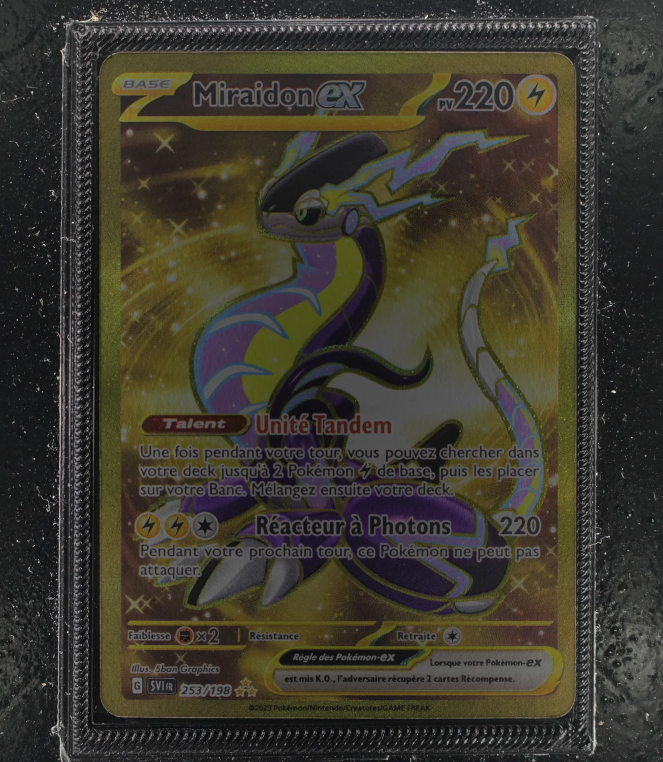 Front Card