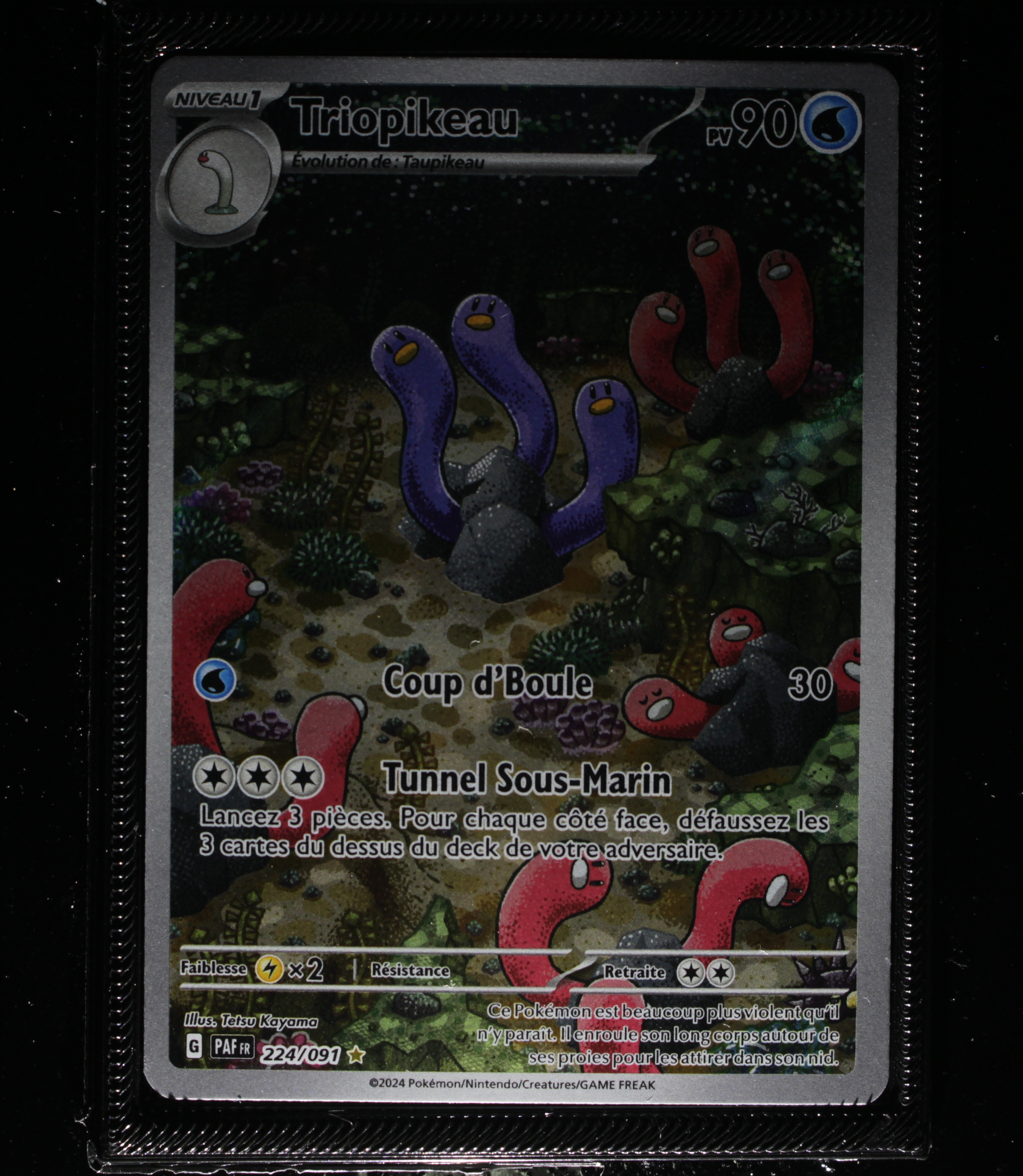 Front Card