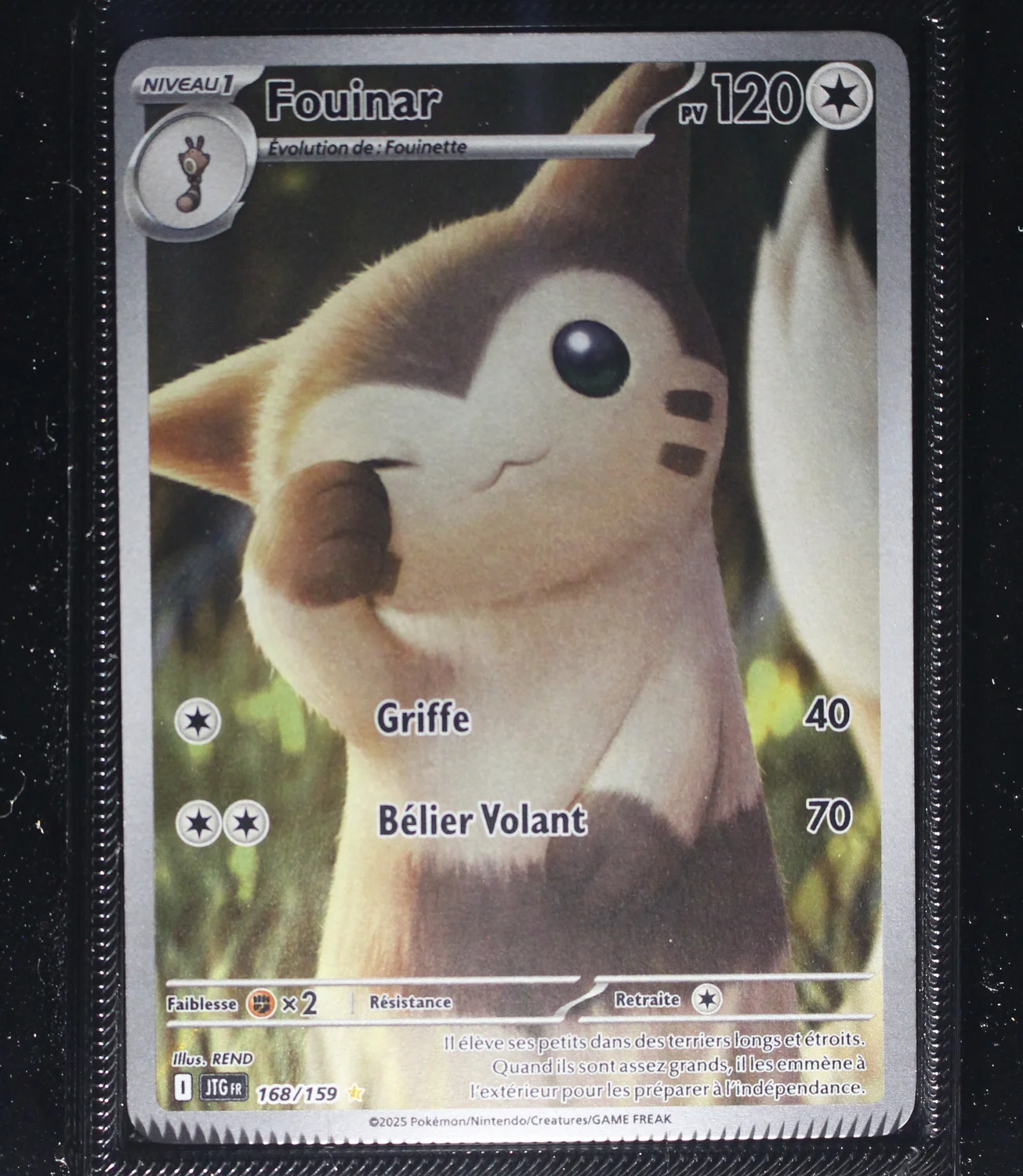 Front Card