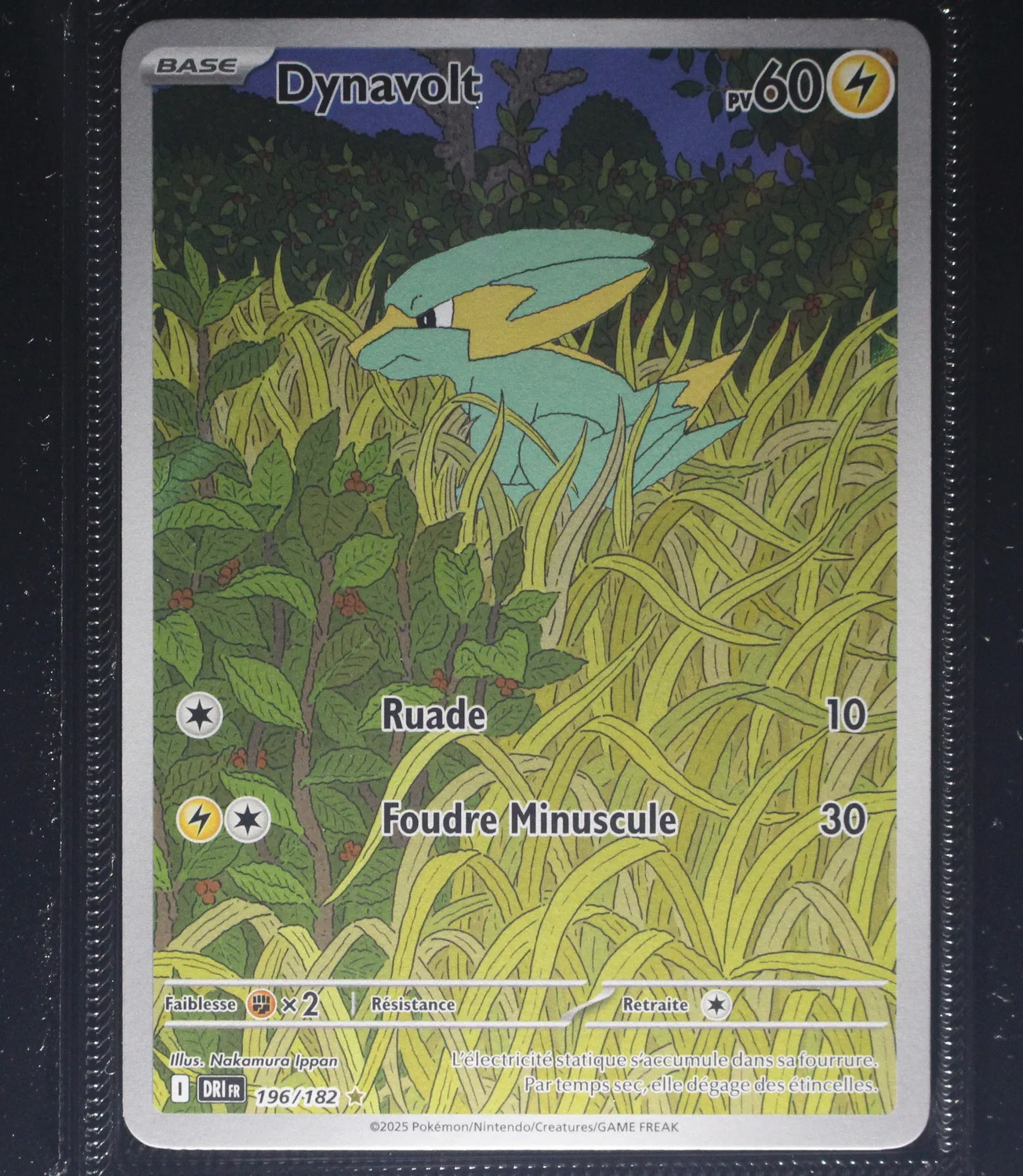 Front Card