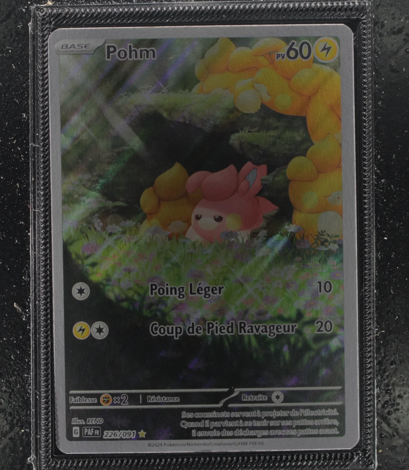 Front Card