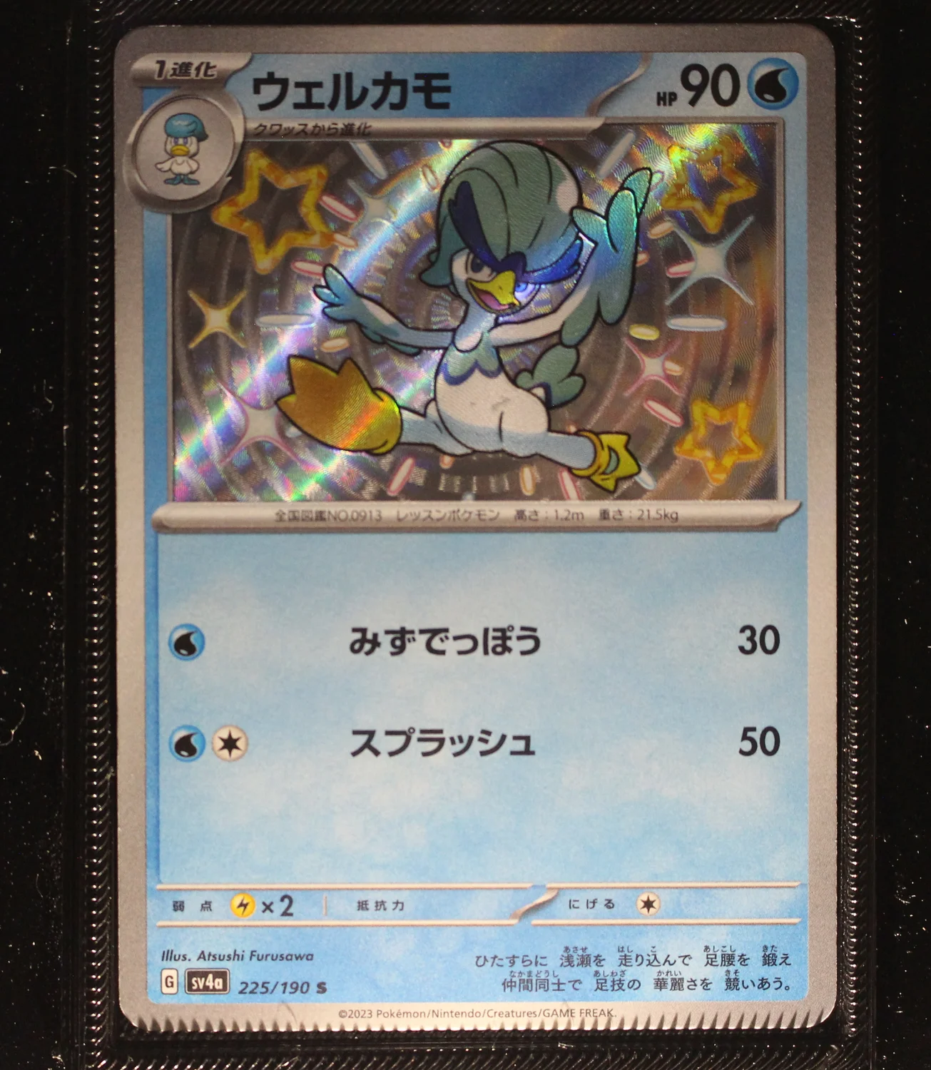 Front Card