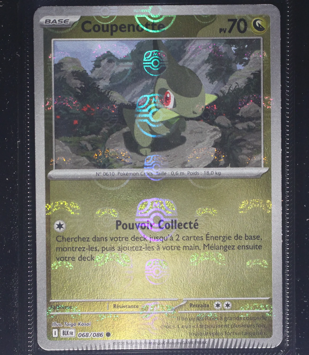 Front Card
