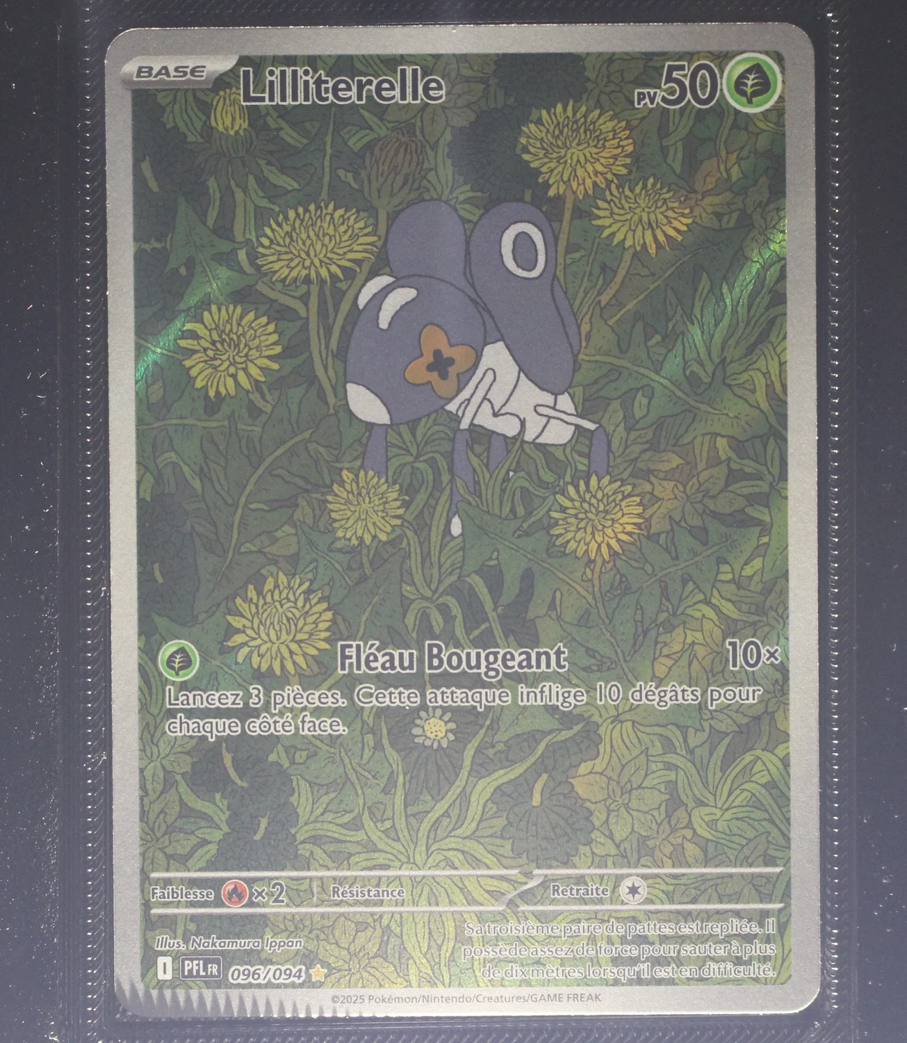 Front Card