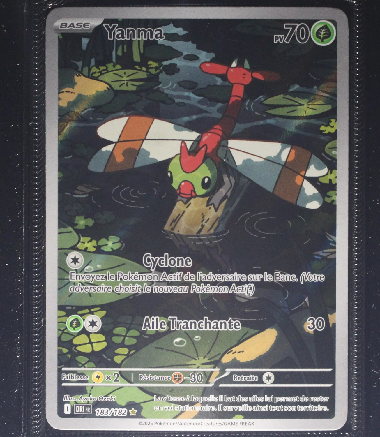 Front Card