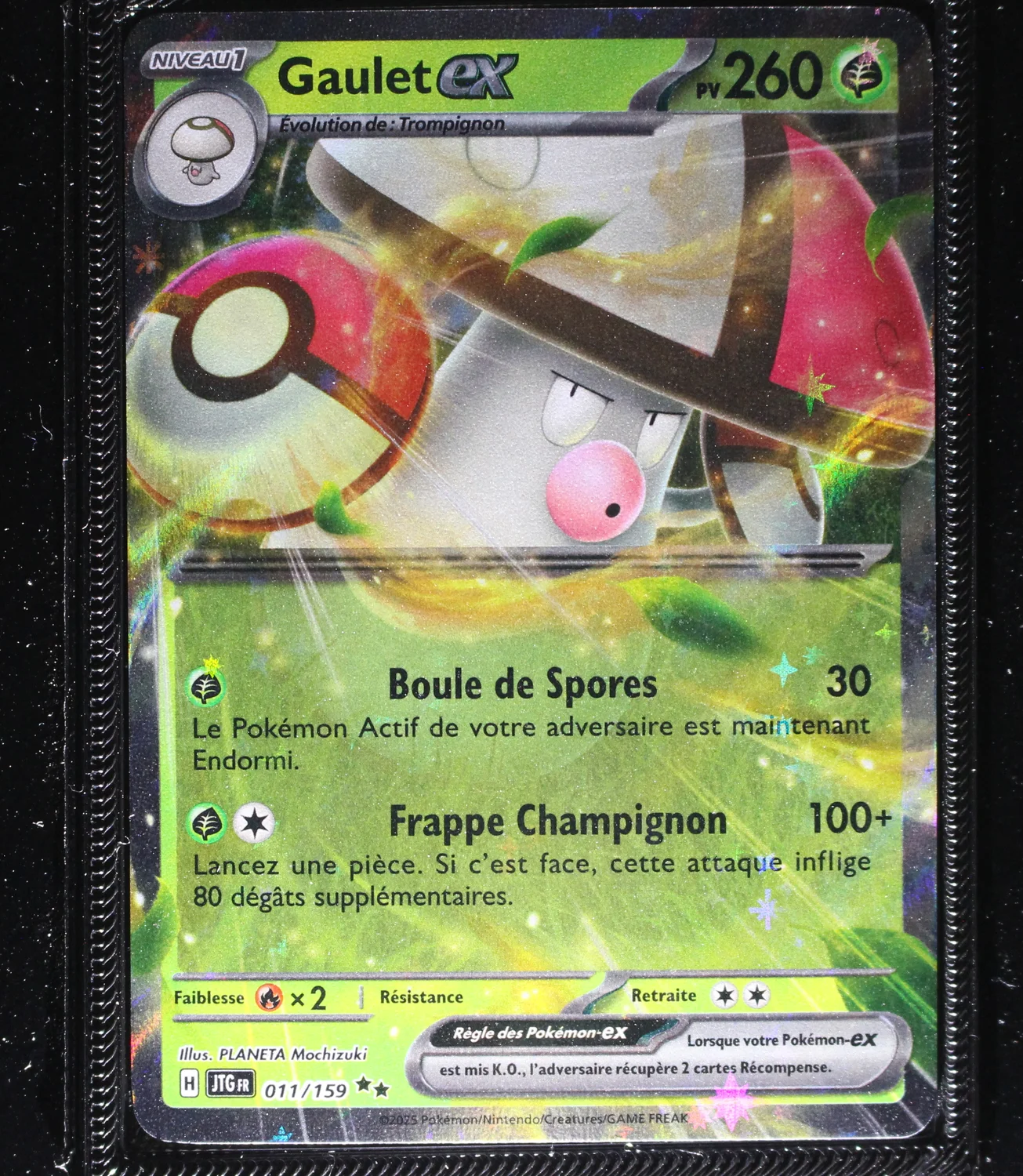 Front Card