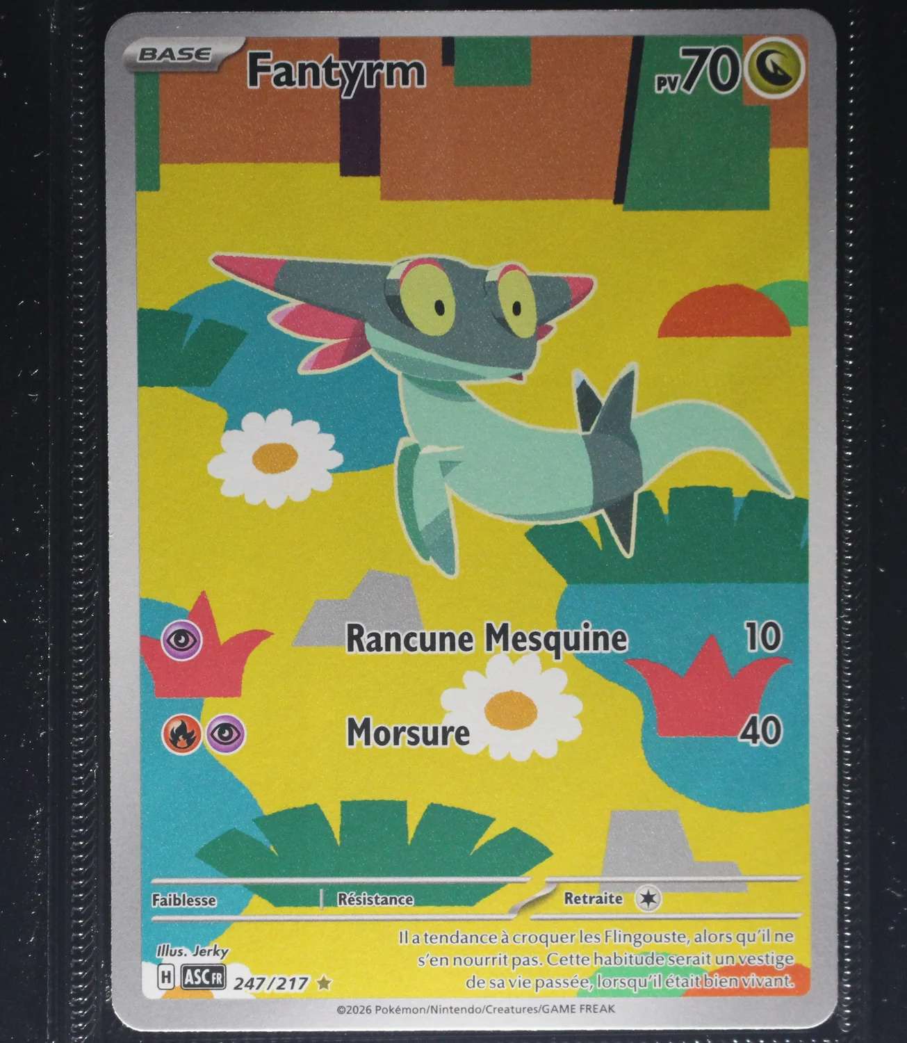 Front Card