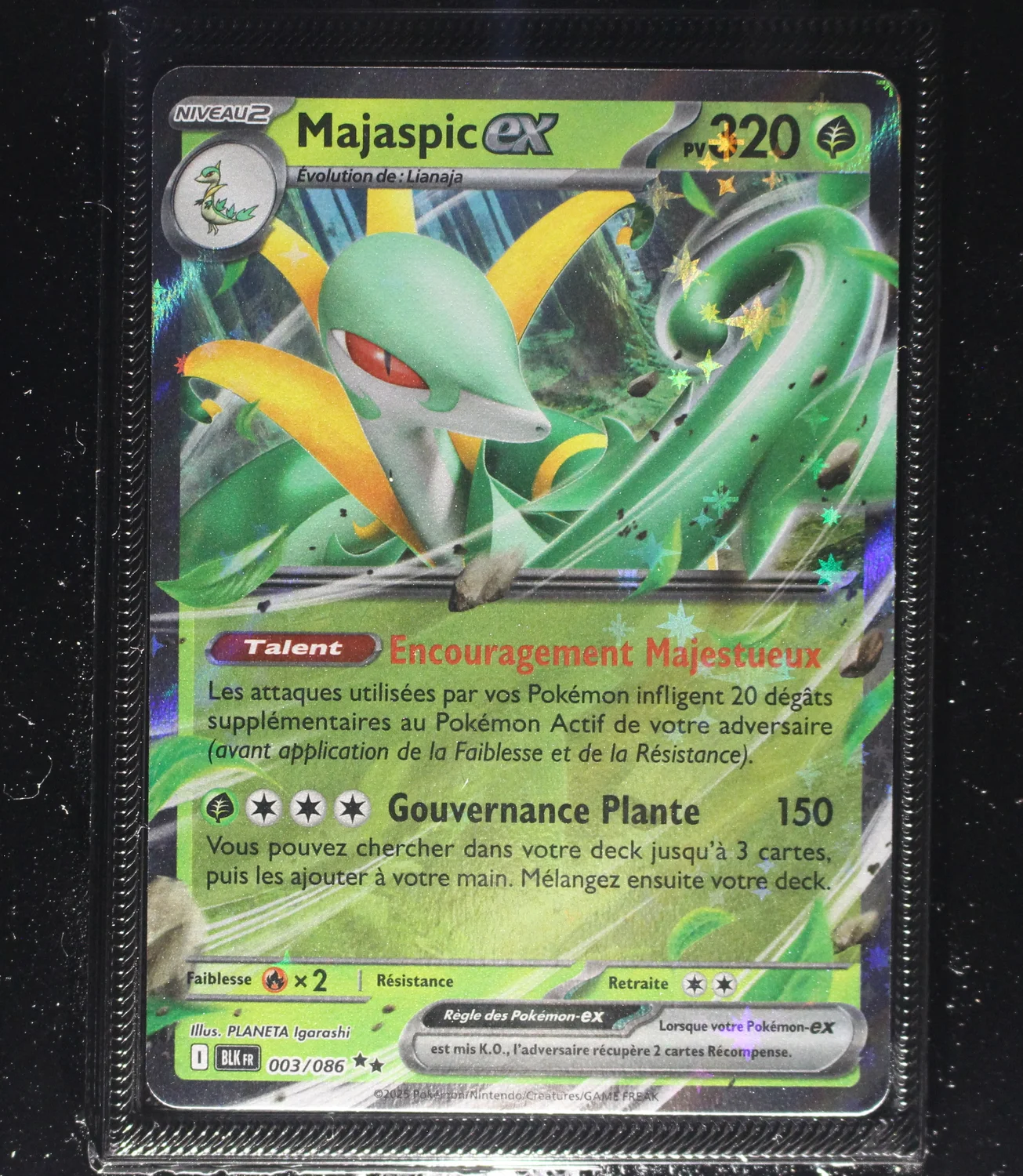 Front Card