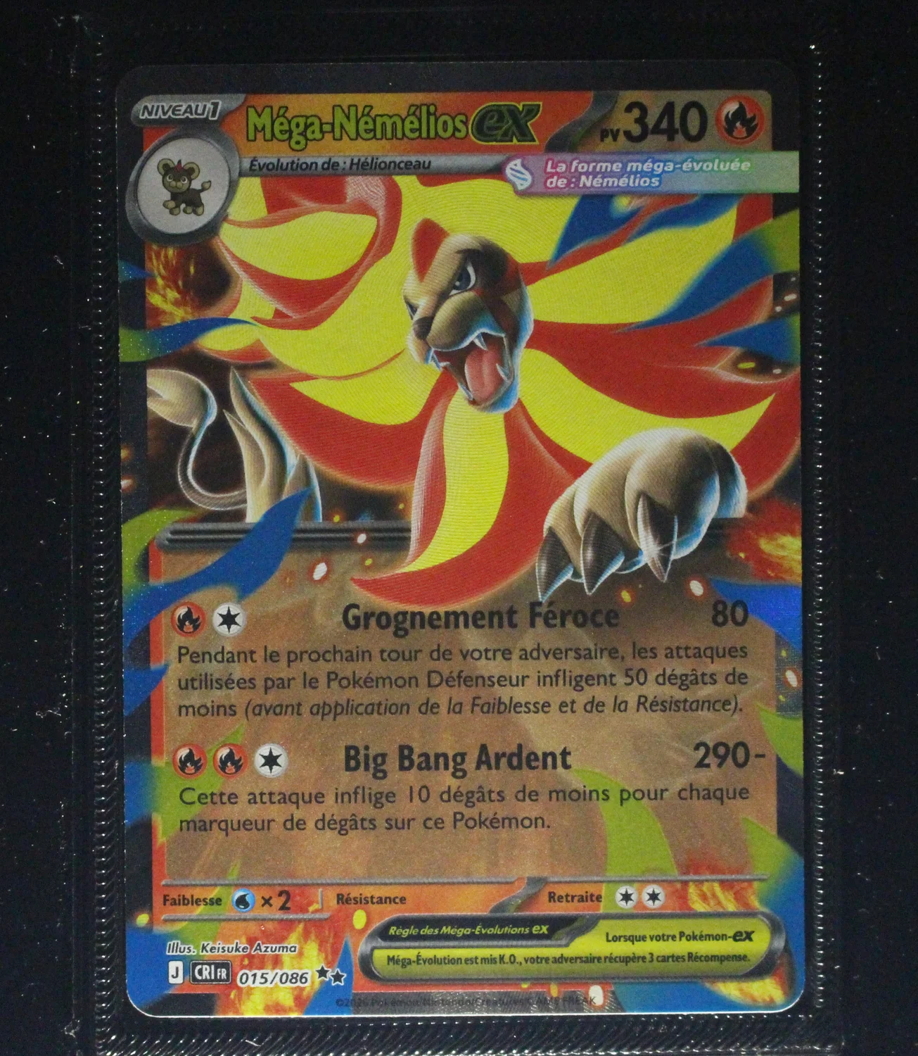 Front Card
