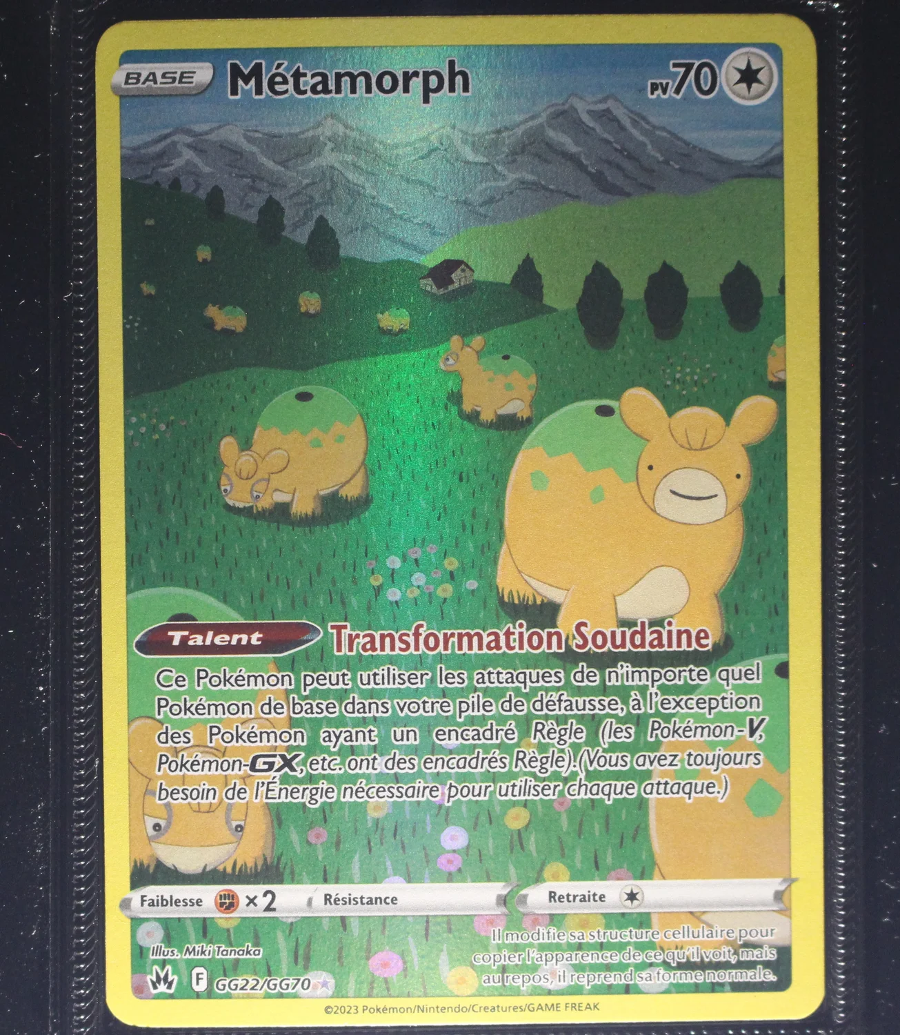Front Card