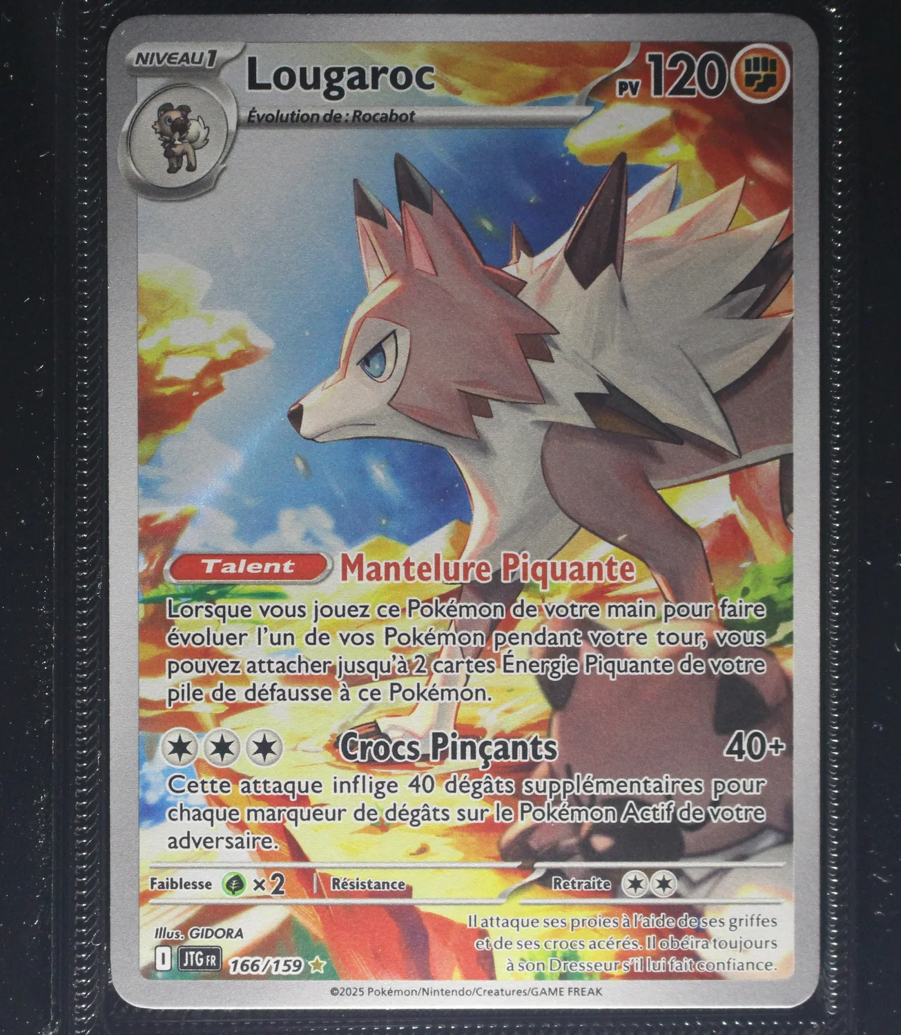 Front Card
