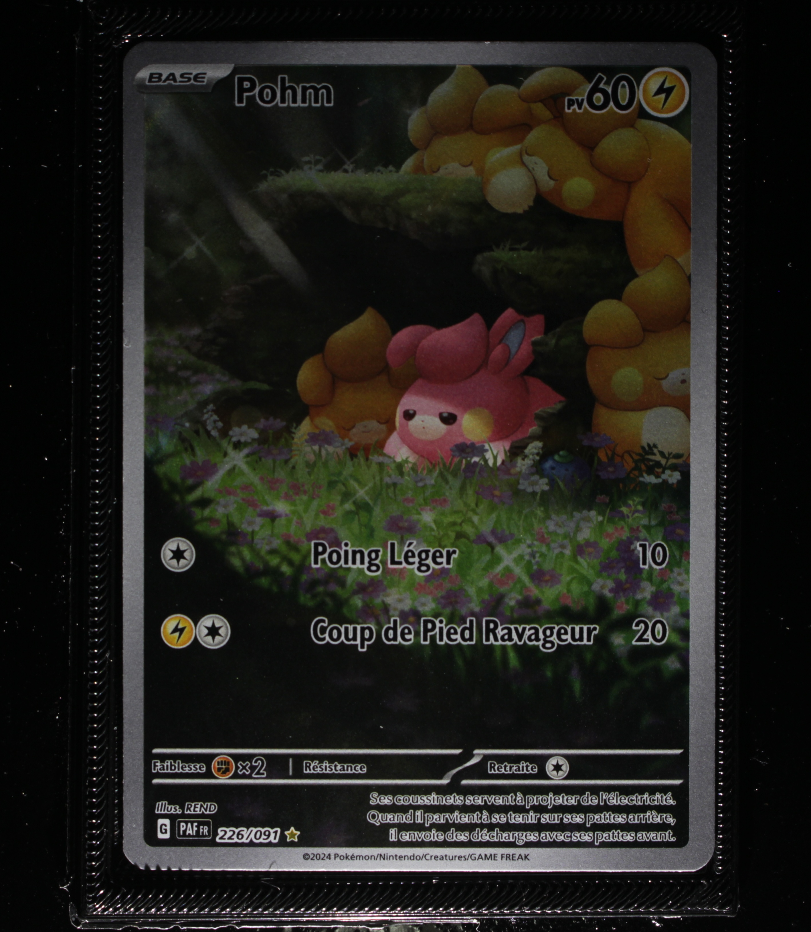Front Card