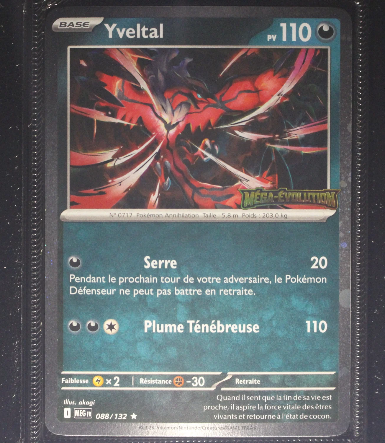 Front Card