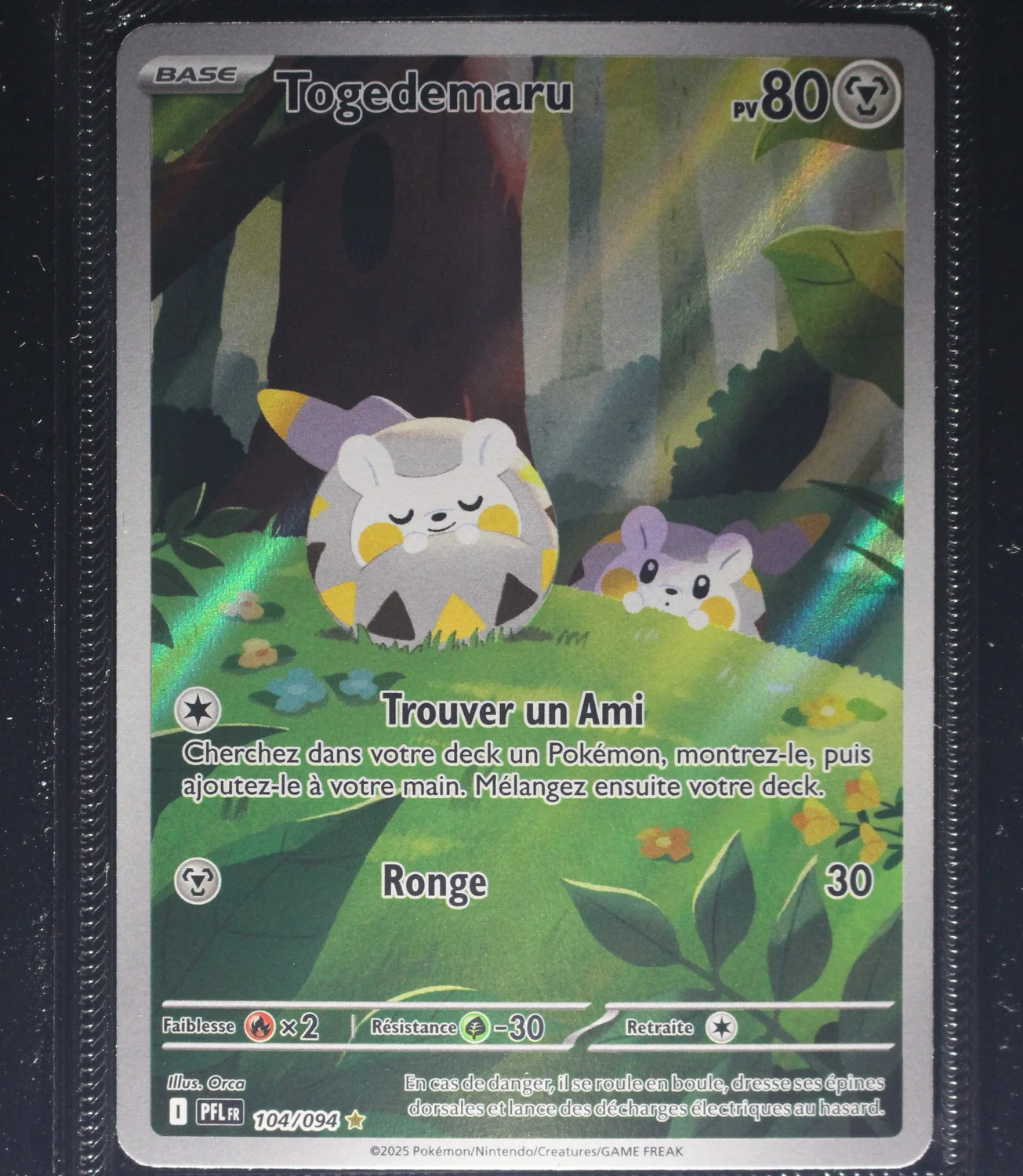 Front Card