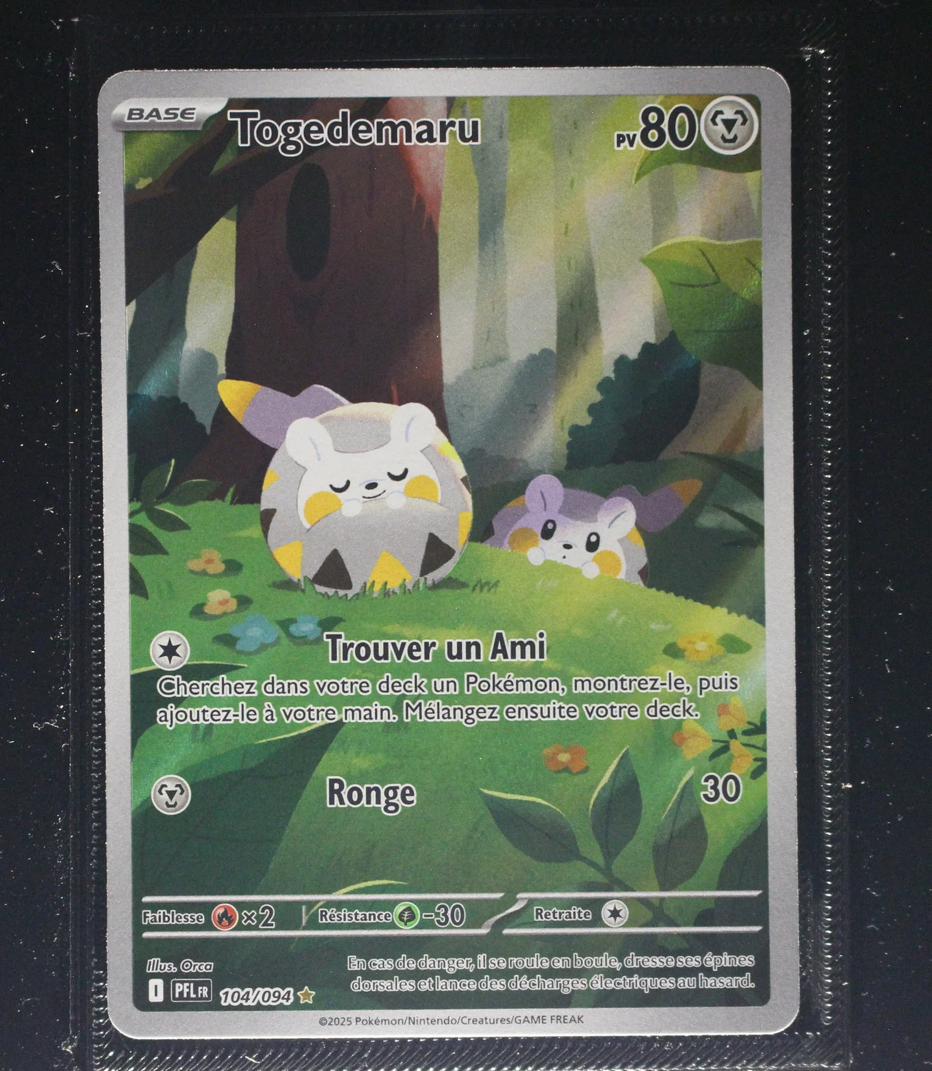Front Card