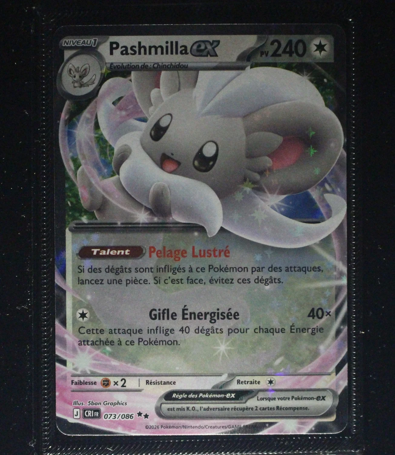 Front Card