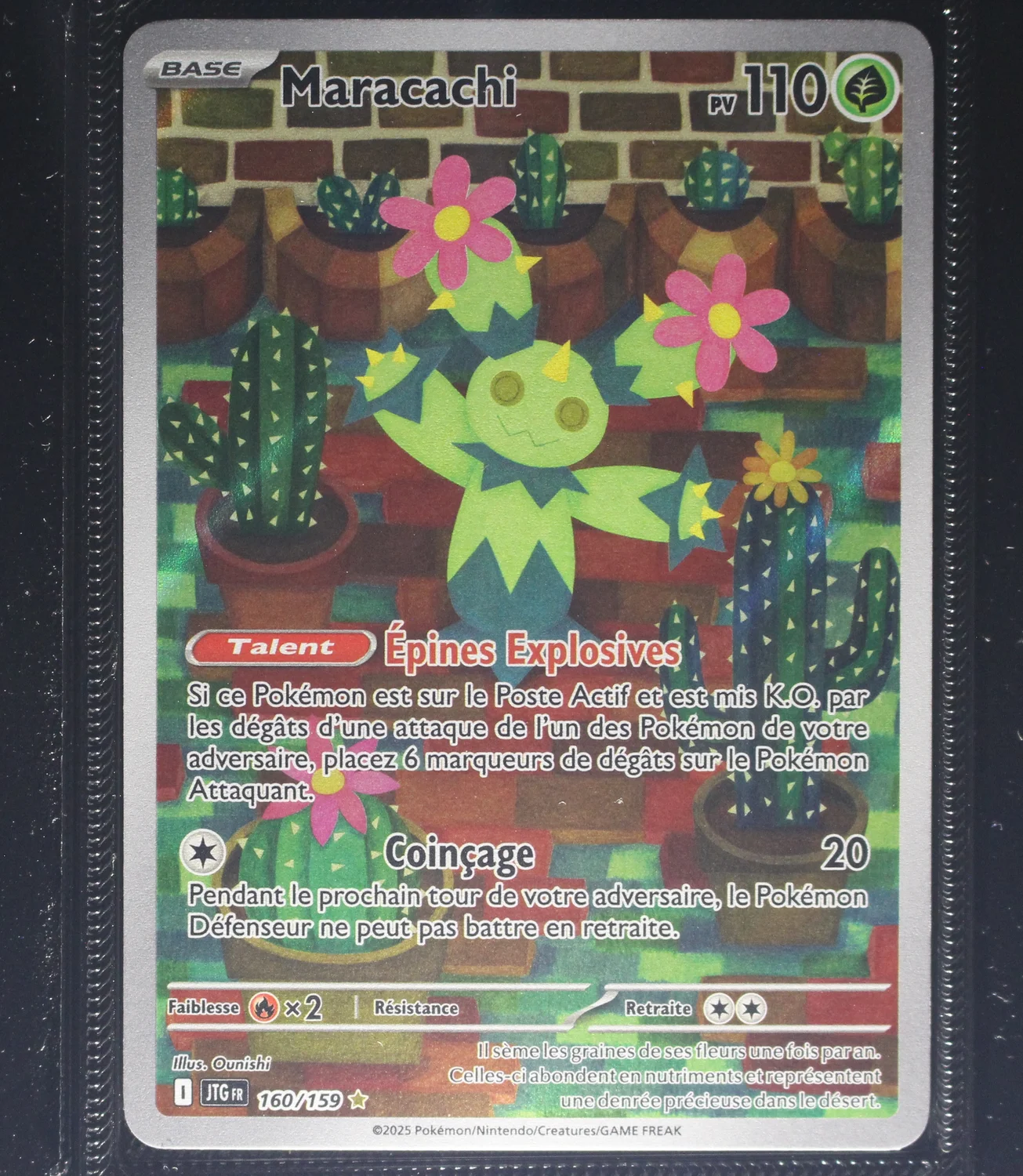 Front Card