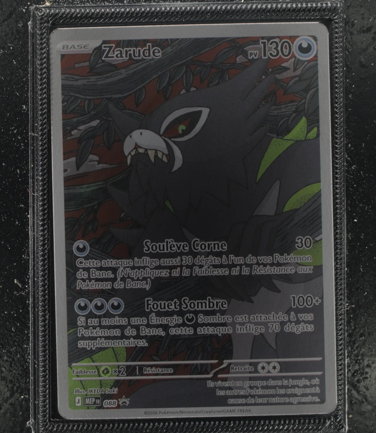 Front Card