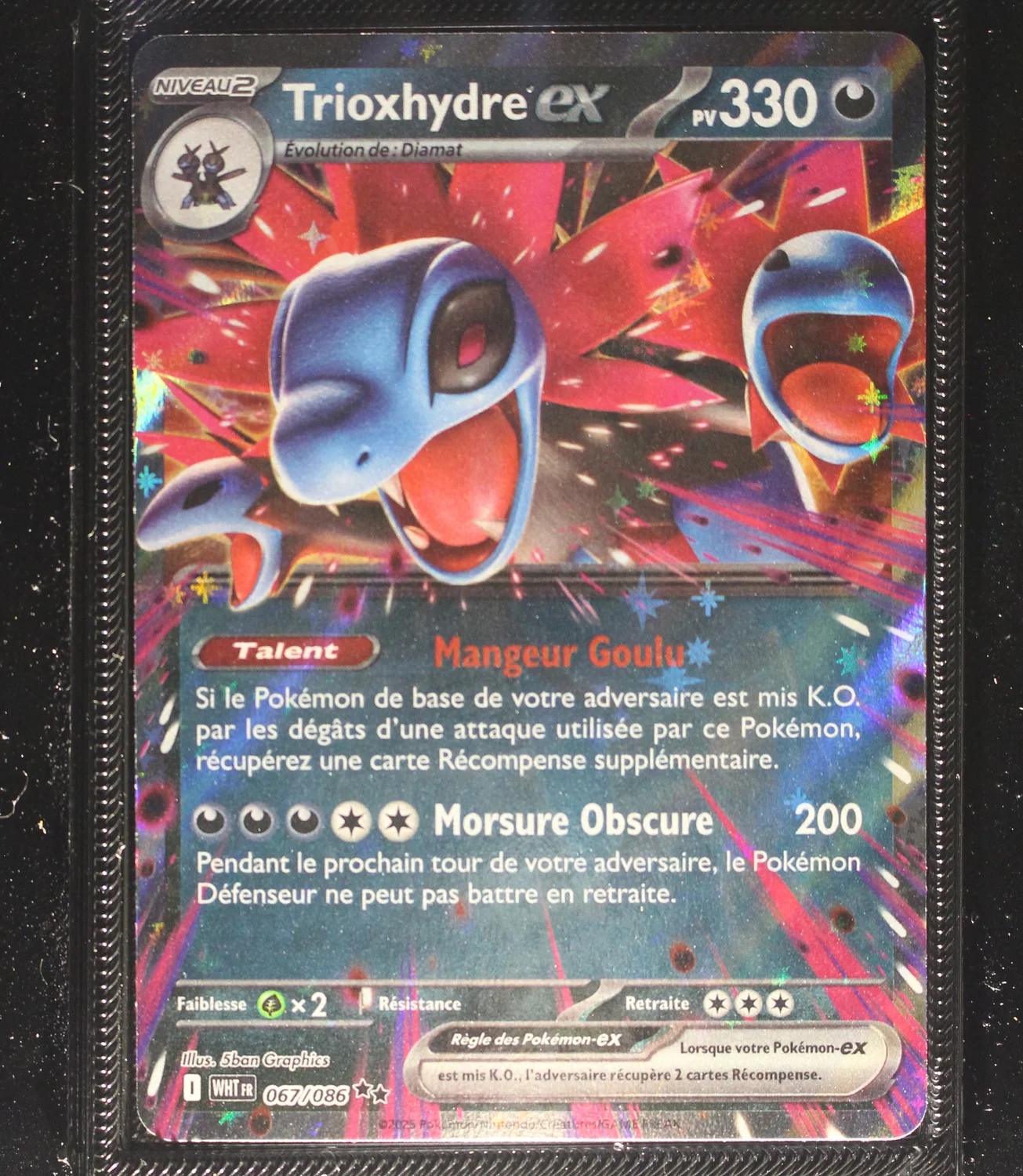 Front Card