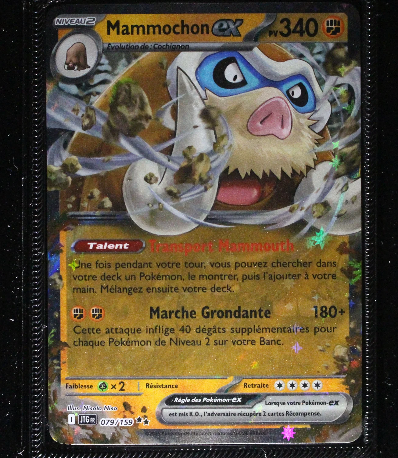 Front Card