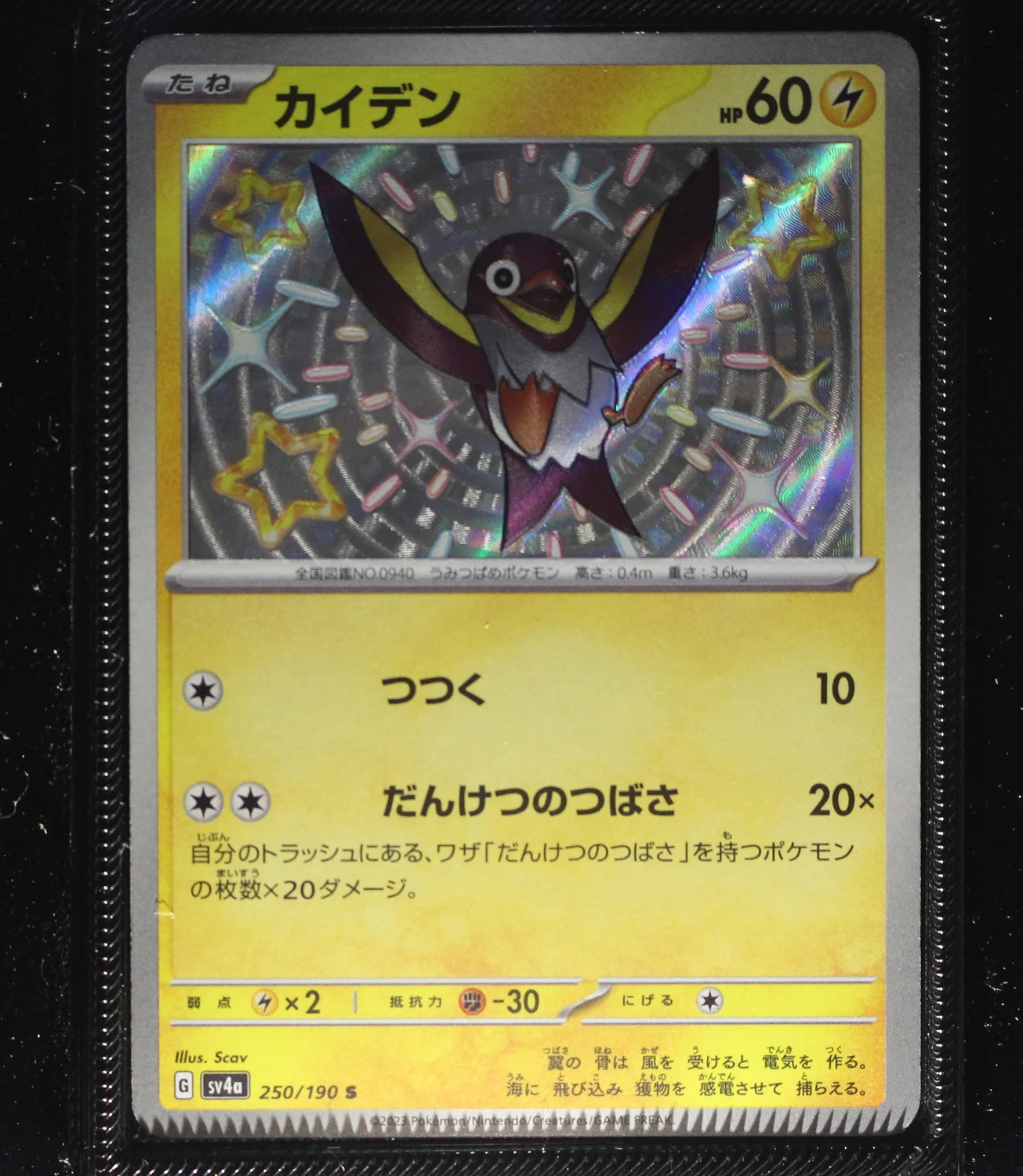 Front Card