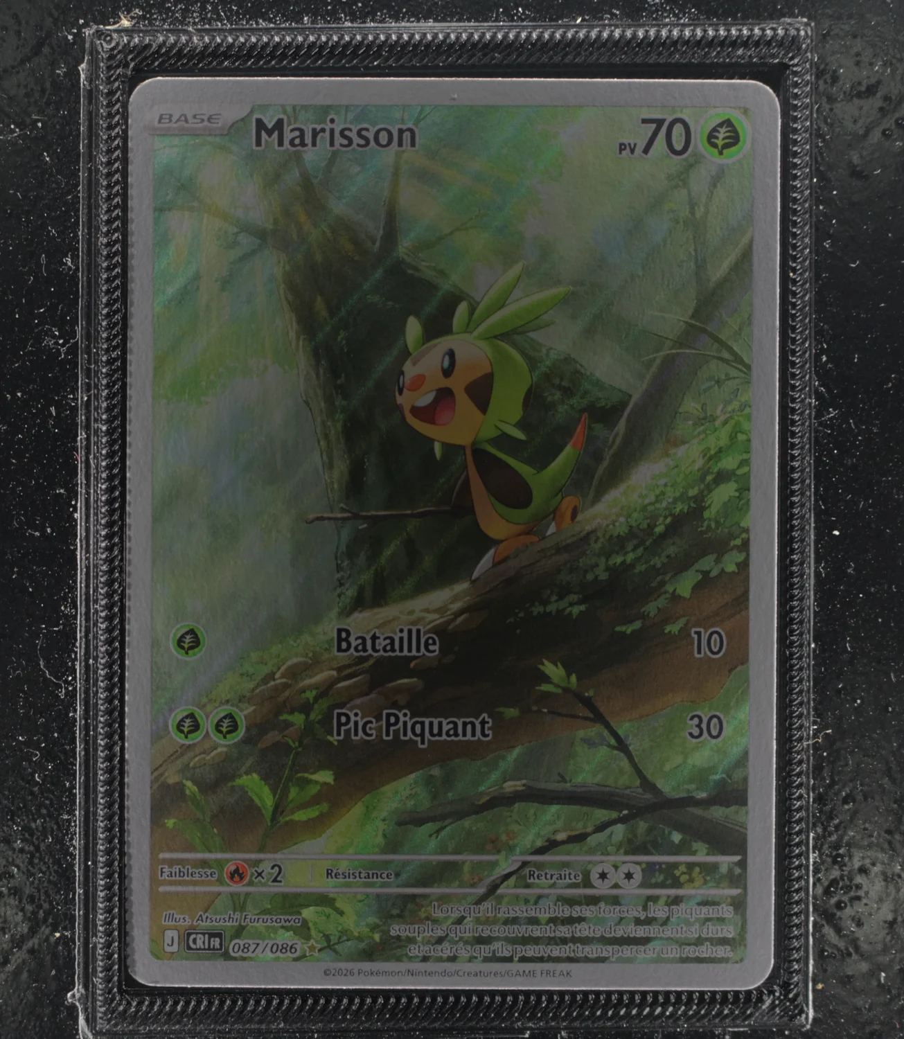 Front Card