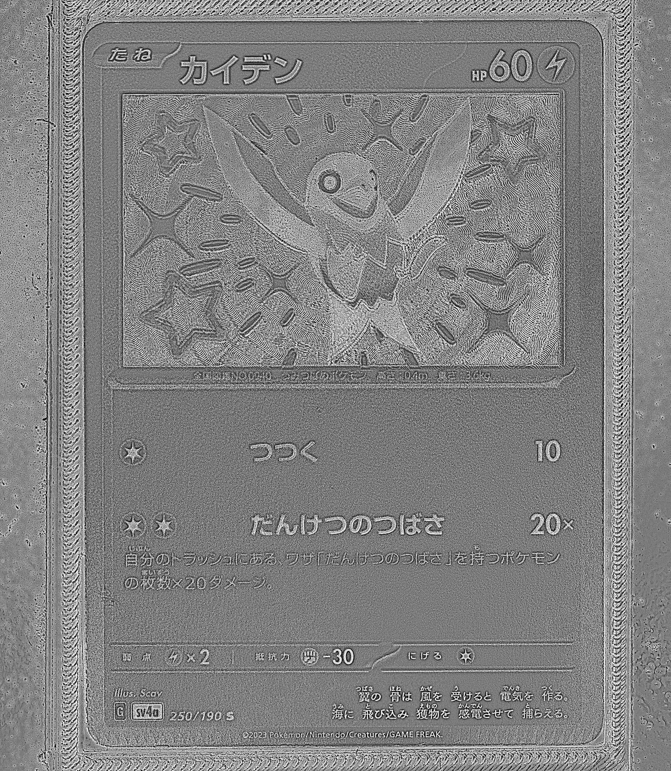 Front Card Photometric