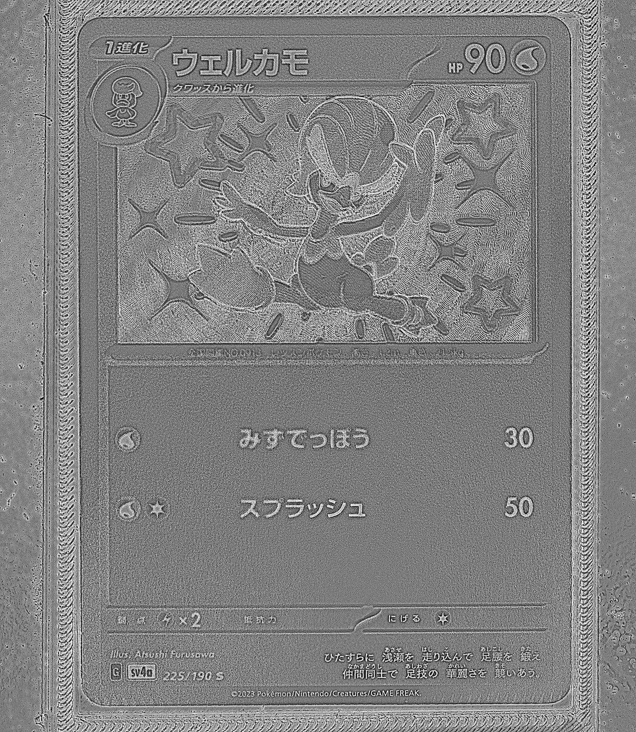 Front Card Photometric