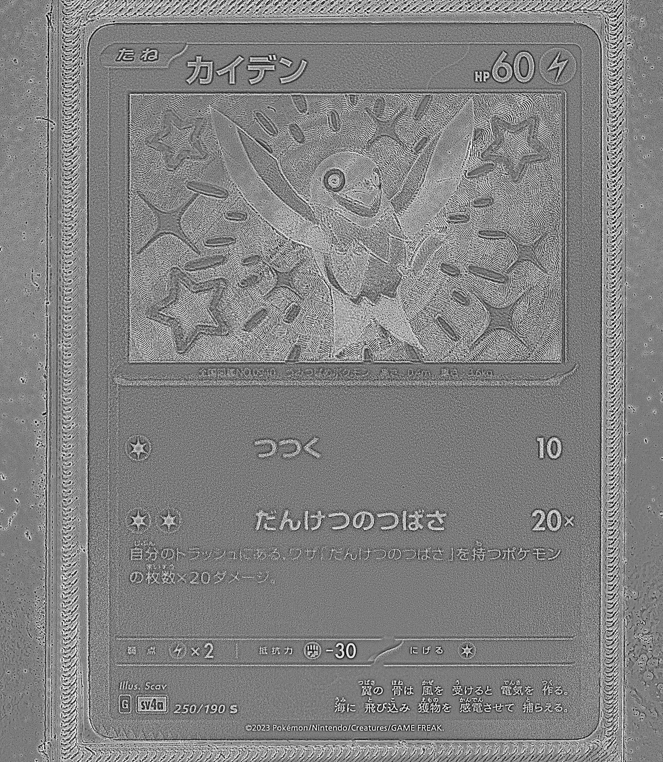 Front Card Photometric